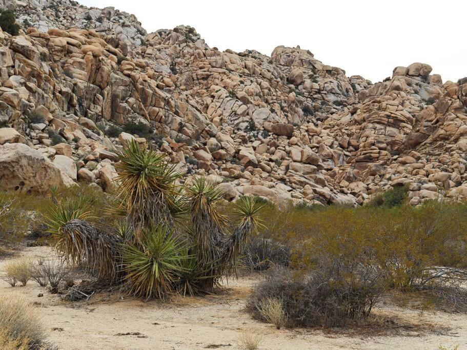 Panoramic Heaven - Luxury Designer Property W Spa Joshua Tree Zewnętrze zdjęcie