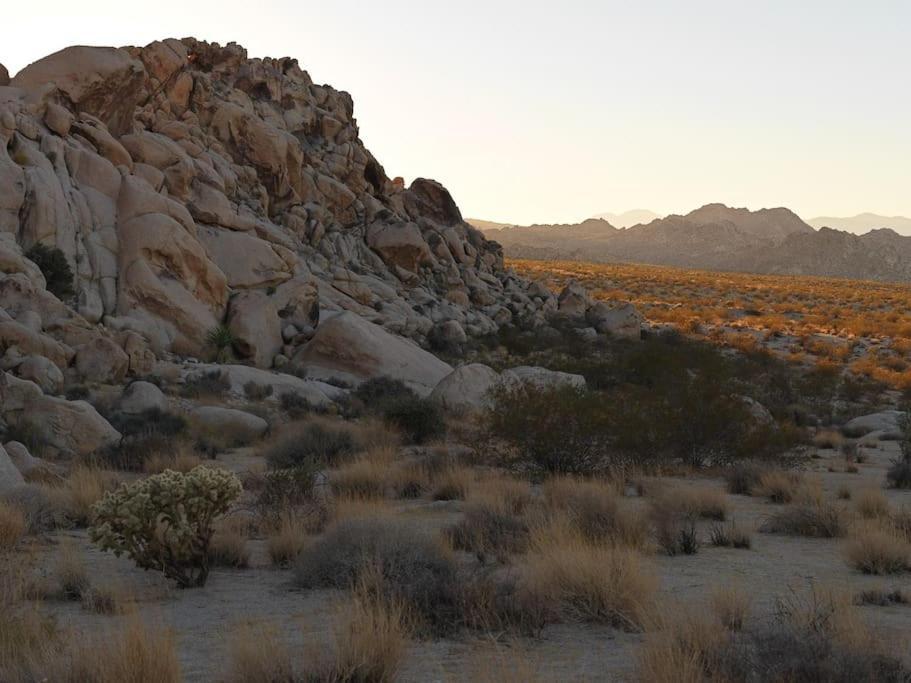 Panoramic Heaven - Luxury Designer Property W Spa Joshua Tree Zewnętrze zdjęcie