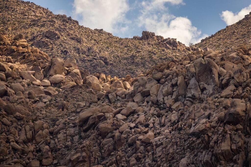 Panoramic Heaven - Luxury Designer Property W Spa Joshua Tree Zewnętrze zdjęcie
